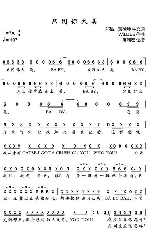 蔡徐坤鸡你太美歌曲