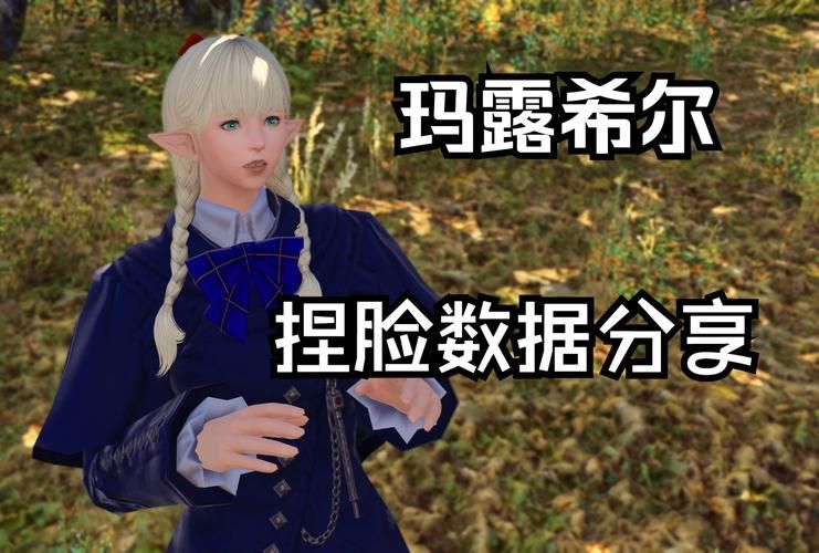 ff14捏脸数据在哪个文件夹,ff14捏脸数据专区