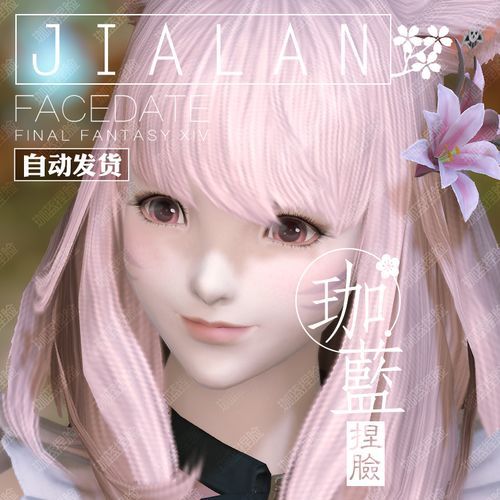 ff14捏脸数据在哪个文件夹,ff14捏脸数据专区