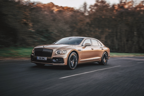 New comer Support Plan，newcomer的中文意思