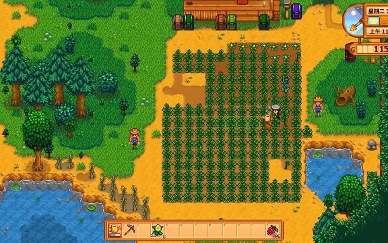 星露谷物语纤维哪里刷，星露谷物语纤维怎么赚钱