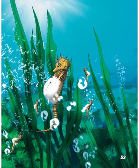 饾饤,豆丁海�? style=