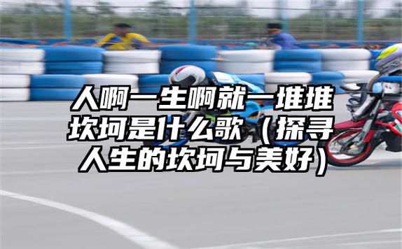 人的一生啊就一堆堆坎坷是什么歌原唱,歌曲《人生这条路》