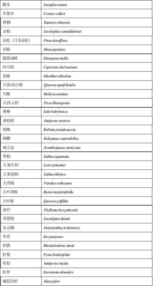 拉丁语名字男及含义,拉丁语名字生成器