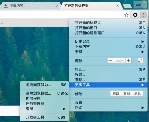 谷歌开发者工具使用教程,谷歌开发者平台组织信息duns编码修改