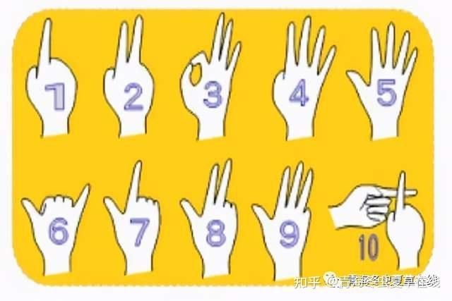 whereisip手机版，whereisip中文意思