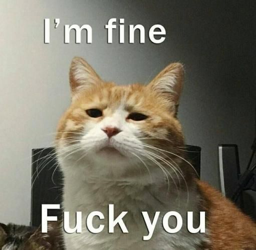 他妈的英文骂人，他妈的英文咋说