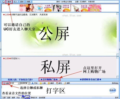 新浪聊天室还有吗,新浪聊天室为什么进不去