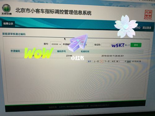 小客车指标摇号结果天津查询,小客车指标摇号结果天津
