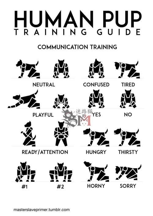 k3k6k9字母圈什么意思,did字母圈什么意思