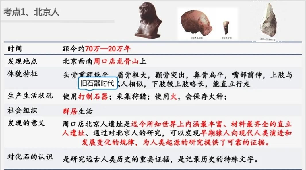 揭秘石器时代,石器时代2021