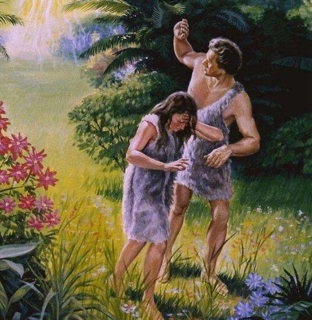 亚当与夏娃相亲综艺第一季第3集,亚当找夏娃相亲综艺第一季全集