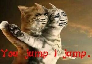 you jump i jump是什么意思中文翻译，youjumpijump是什么意思怎么读