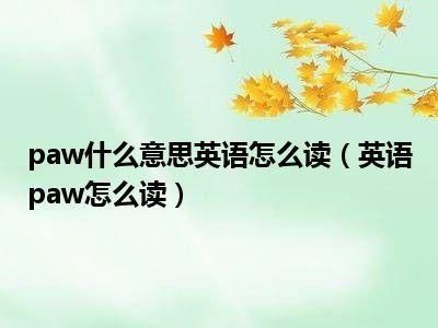 paw格式是什么意思,paw格式是什么