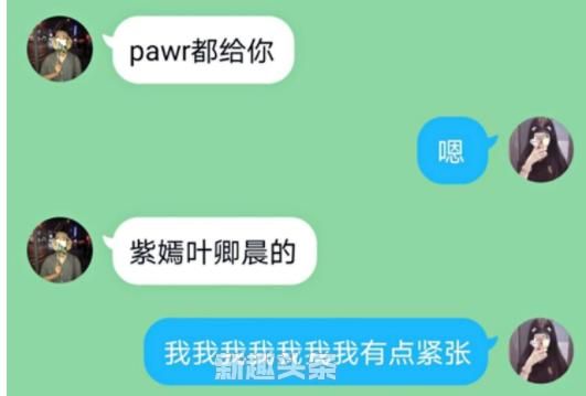 paw格式是什么意思,paw格式是什么