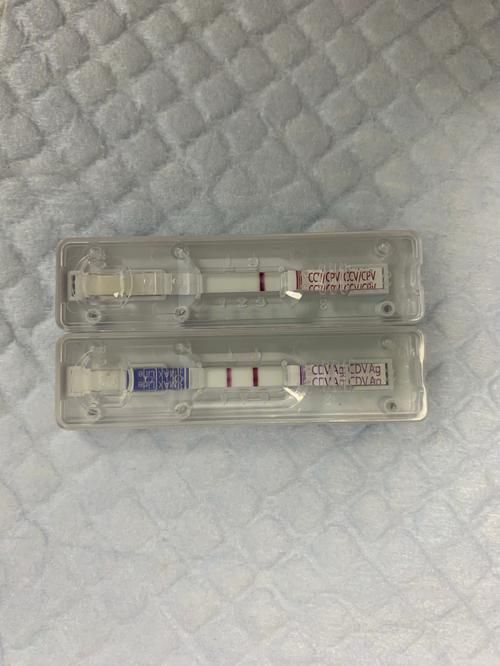 berrybox检测不到设备,berrybox是什么意思