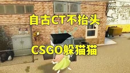 csgo躲猫猫,CS躲猫猫是什么游戏