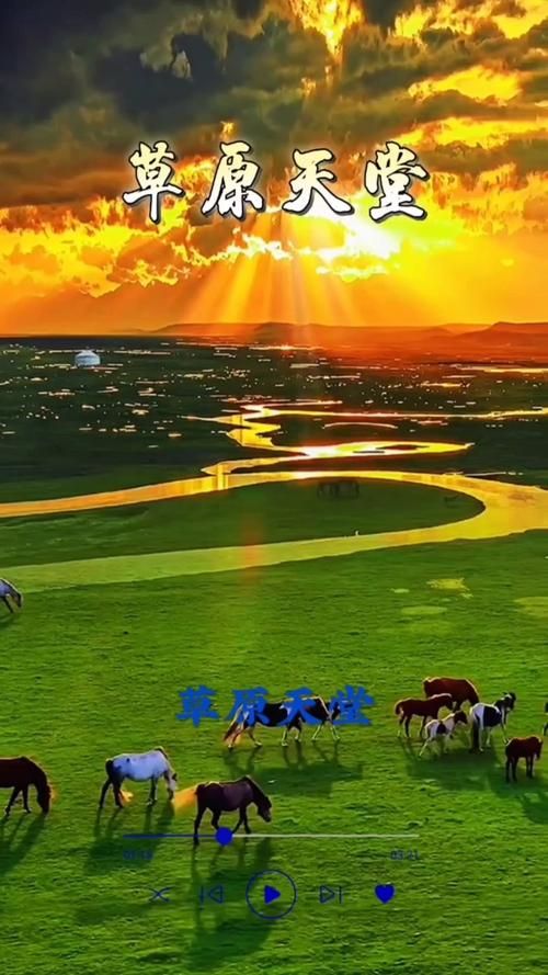 天堂草原音乐网官网,天堂草原音乐网蒙语版下载