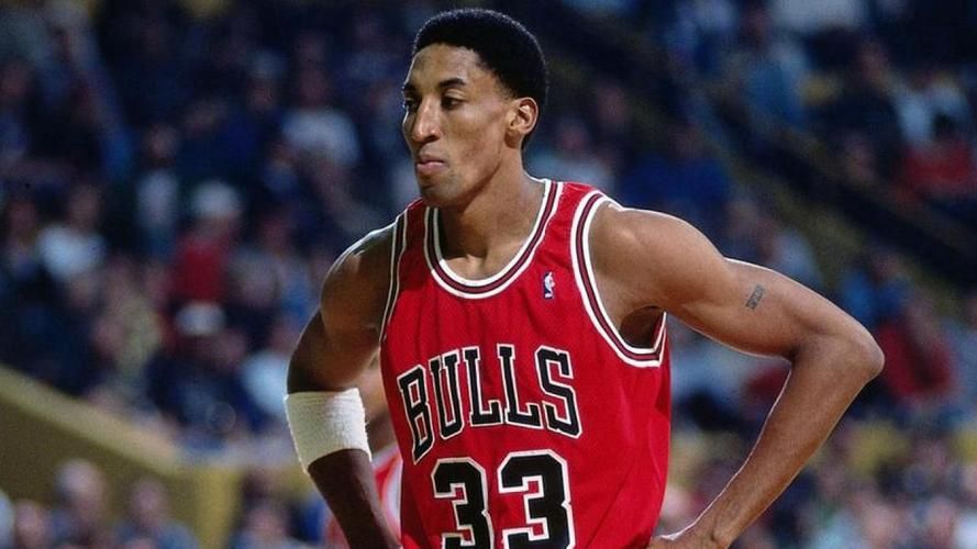 斯科蒂皮蓬体测数据,斯科蒂皮蓬臂展