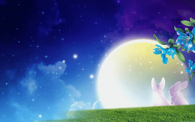 动态电脑桌面壁纸免费下载，动态电脑桌面壁纸全屏下载