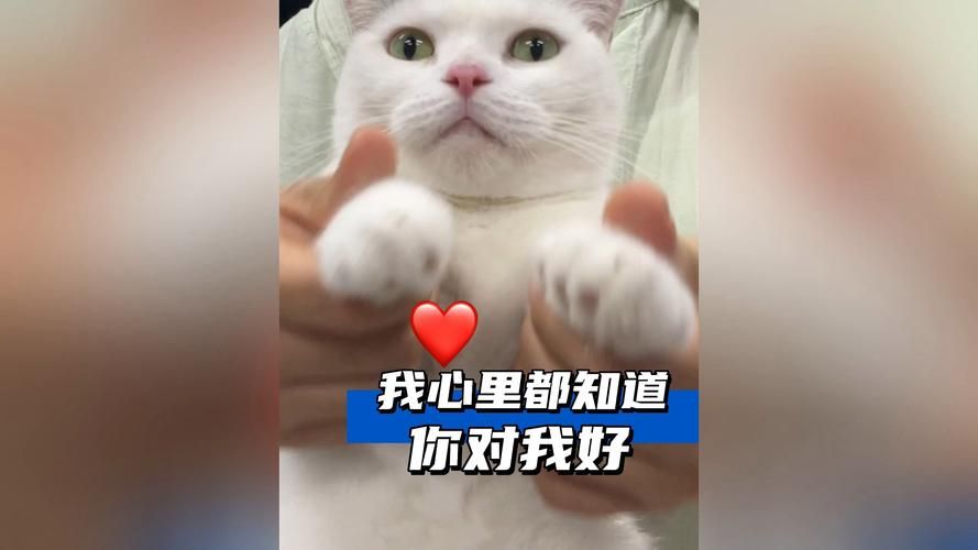 你对我好 我心里都知道是什么歌，你对我好我心里都知道是什么歌抖音