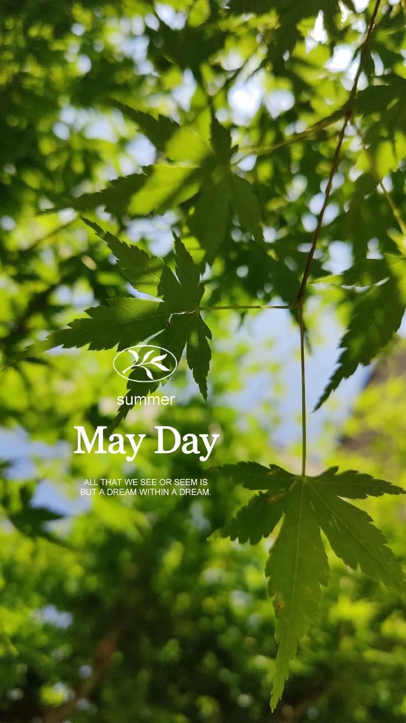 summer days,Summer day江迟同学