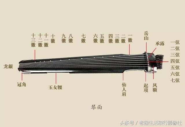 古琴有几根弦几个徽，古琴有几根弦几个�? style=