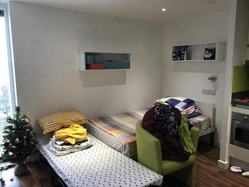 GRIFFON STUDIOS可以双人入住吗,GRIFFONIA非洲加纳籽