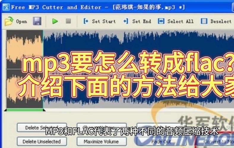 fla格式可以转换吗,fla格式是什么意思
