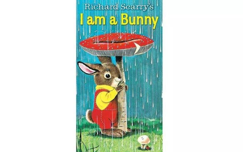 Banny怎么读，Bannykus