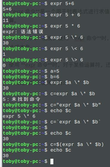 shell expr,shell exp