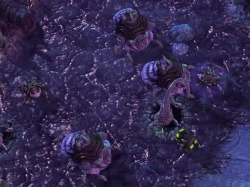 星际争霸2虫族菌毯有什么用,星际争霸2虫族战役