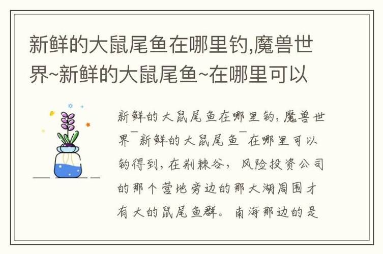 新鲜的鼠尾鱼在哪钓，新鲜的鼠尾鱼哪里钓