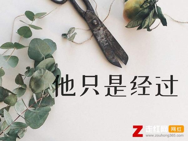 所有都被一笔带过什么歌,他曾说的话有没有兑现,魔性,所有都被一笔带过什么歌白敬亭