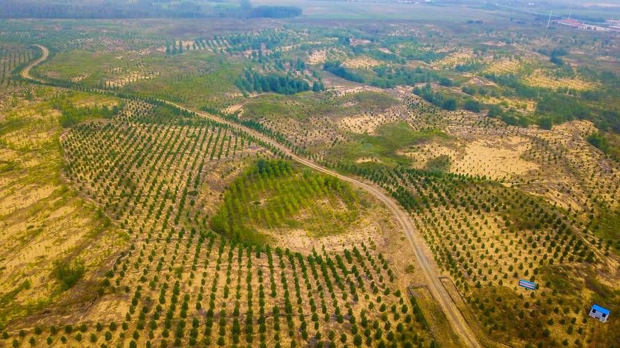 三北防护林工程中的三北不包括哪个地区,三北防护林工程是指在中国三北地区