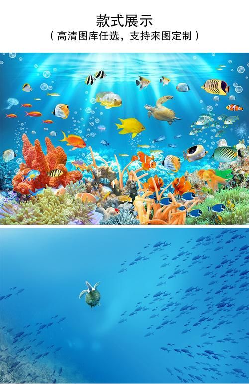水族馆屏保能安装在智能电视上吗,水族馆屏保电脑版