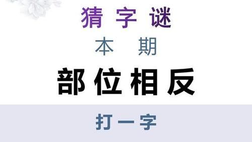 部位相反打一字谜语，部位相反猜灯谜