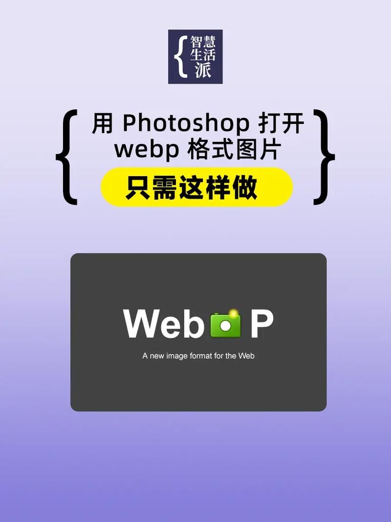 下载的图片是webp格式怎么办，webp是什么格式