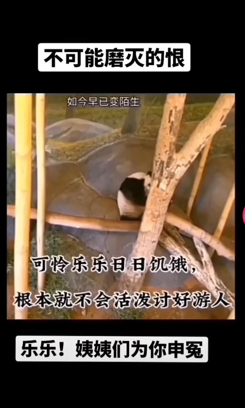 目击众神死亡的草原上野花一片歌曲，目击众神死亡的草原野花一片什么意思