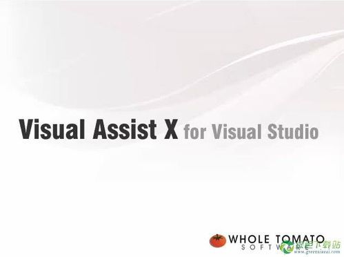 visual assist安装，visual assist trial 激活码