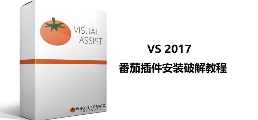 visual assist安装，visual assist trial 激活码