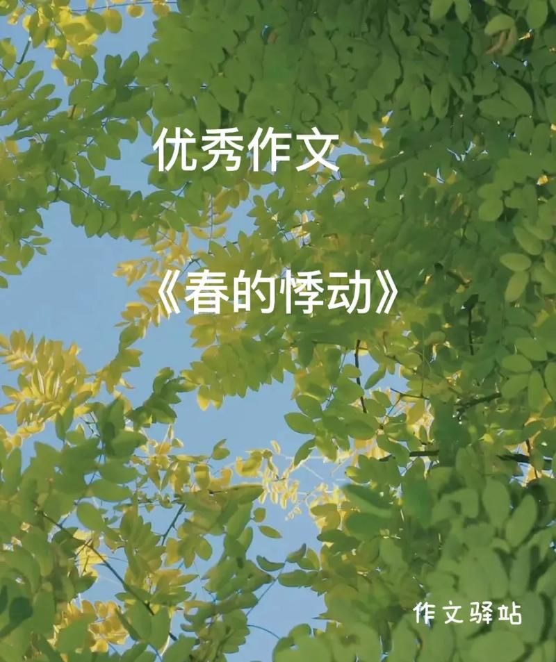 春天的悸动 是一场盛大的相遇英语，春天的悸动作文