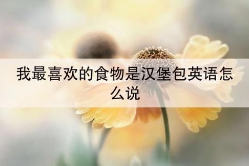 我晚餐想吃汉堡包的英文，汉堡包的英文怎么读
