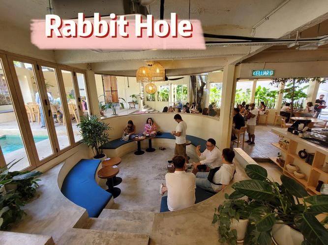 rabbithole像素游戏，rabbithole兔子洞游戏