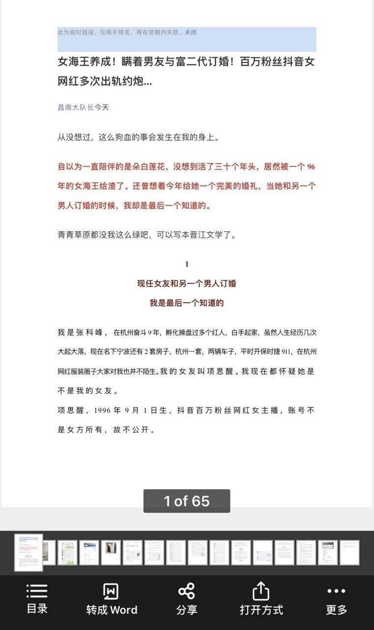 项思醒65页PPT在哪里看，项思醒65页PPT资源下载