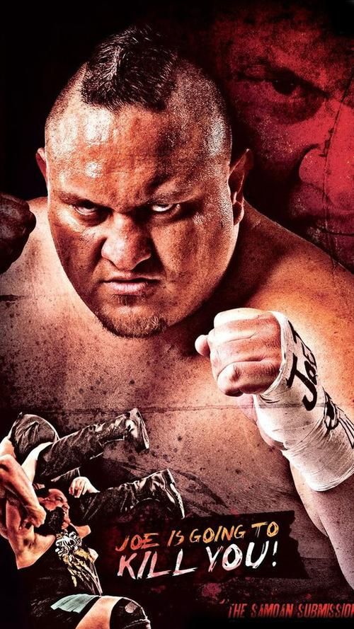 WWE2K17手机操作，WWE2K17人物