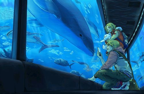 梦幻水族馆屏保场景，梦幻水族馆屏保动态壁纸