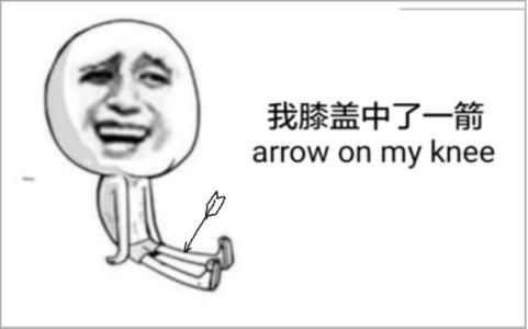 膝盖中了一箭表情包，膝盖中了一箭出自哪个游戏