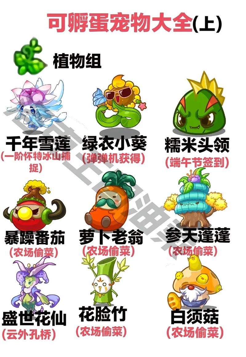 洛克王国孵蛋技巧：提高孵化率的秘诀