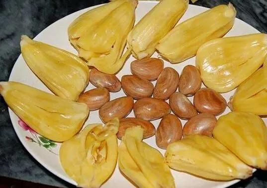 热带水果哪种果核好吃？答案是菠萝蜜！